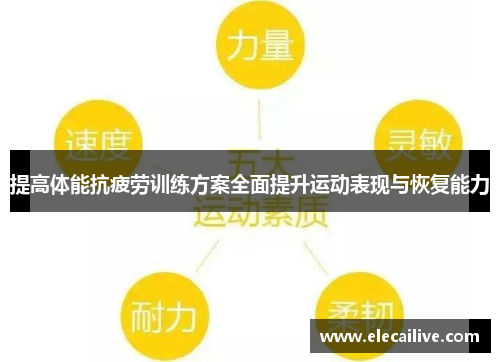 提高体能抗疲劳训练方案全面提升运动表现与恢复能力