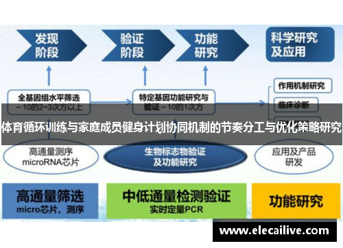 体育循环训练与家庭成员健身计划协同机制的节奏分工与优化策略研究