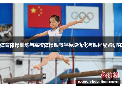 体育体操训练与高校体操课教学模块优化与课程配置研究