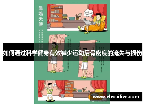 如何通过科学健身有效减少运动后骨密度的流失与损伤