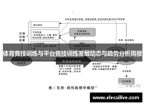体育竞技训练与平台竞技训练发展动态与趋势分析周报