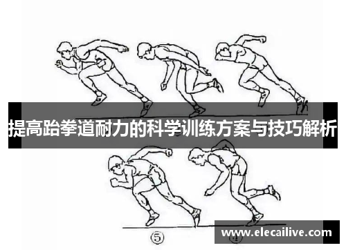 提高跆拳道耐力的科学训练方案与技巧解析