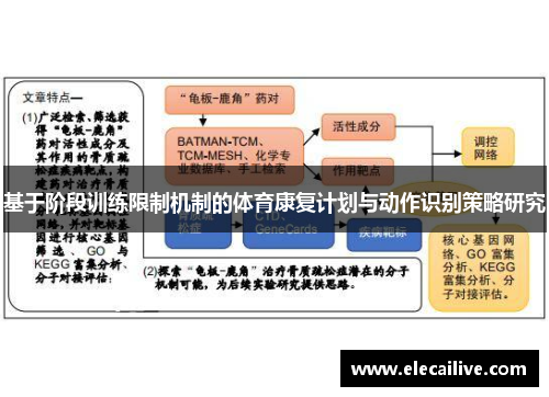 基于阶段训练限制机制的体育康复计划与动作识别策略研究
